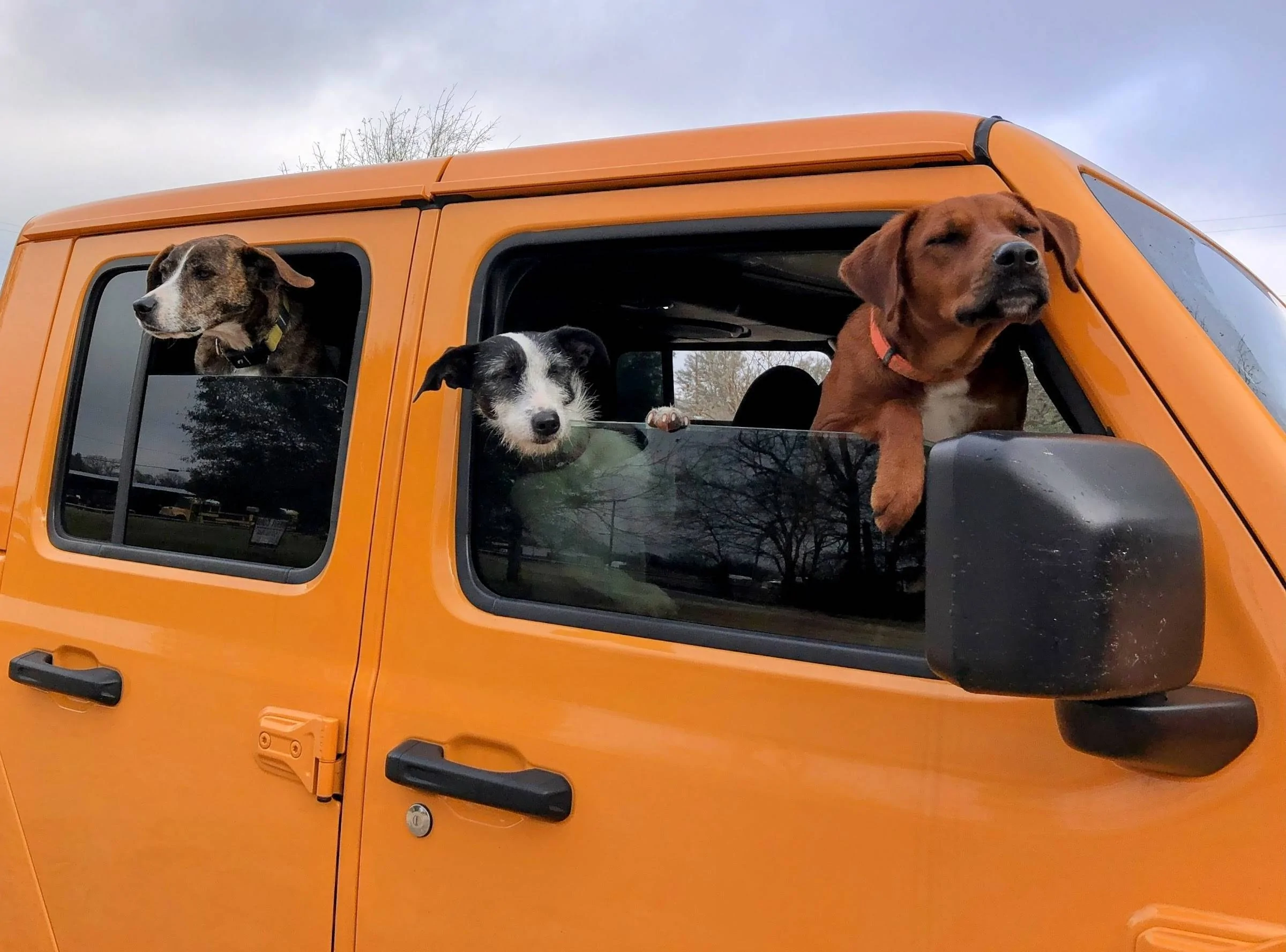 Slate Auto Pickup Truck SLATE office dog approved: The goodest boy (ad commercial) ny0i6_CWNfgQfaWo9F7FYhiyKL0GZpKLQ5sMV_7VtPlV=w2400