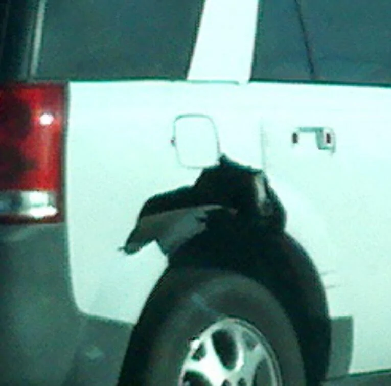 Slate Auto Pickup Truck Embracing Visible Wear and Tear (Shark Battle Scars) 1749805013137-ws