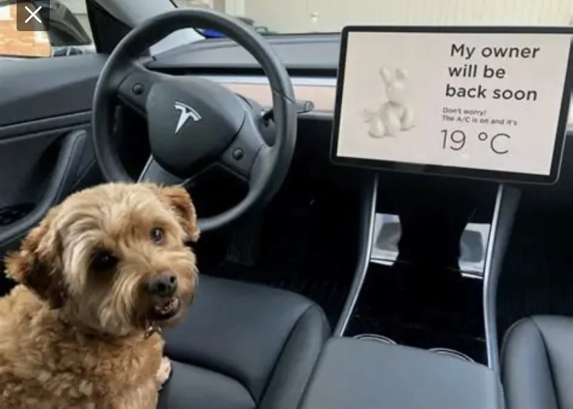 Slate Auto Pickup Truck Is the cost of the SUV Kit a turn-off? IMG_2496