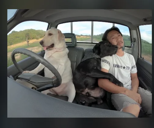 Slate Auto Pickup Truck Dogs inside a single cab truck Screen Shot 2026-01-13 at 9.56.10 AM