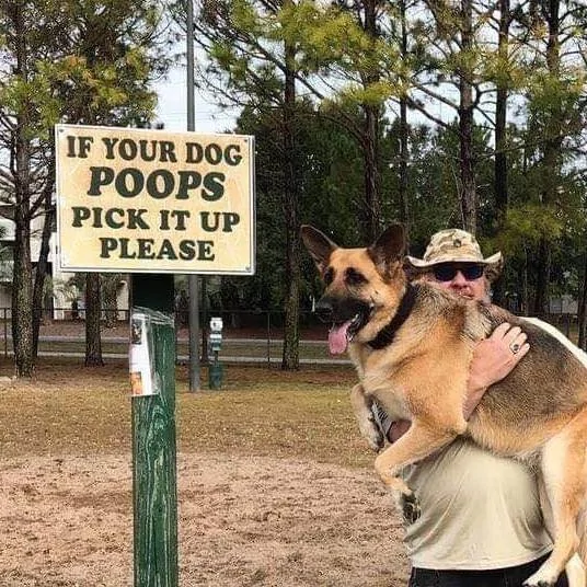 Slate Auto Pickup Truck Dogs inside a single cab truck 1768403257980-gy