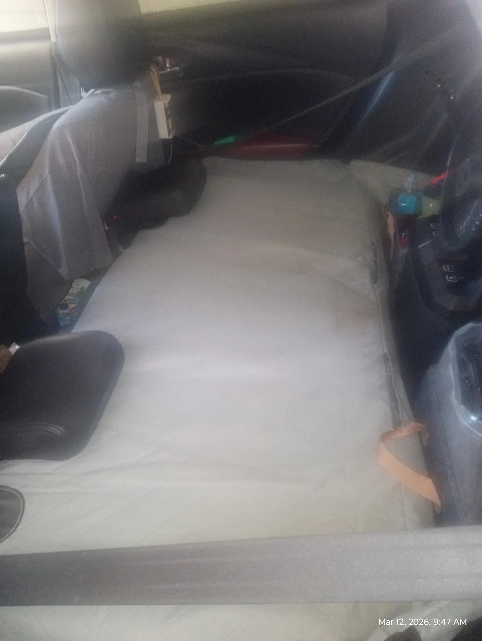 Slate Auto Pickup Truck Dogs inside a single cab truck IMG_20260312_094724518