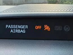 Slate Auto Pickup Truck Dogs inside a single cab truck 1773621733622-cn