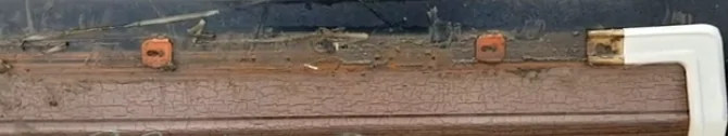 Slate Auto Pickup Truck Thoughts about woodgrain on the sides? 1780727763619-jt