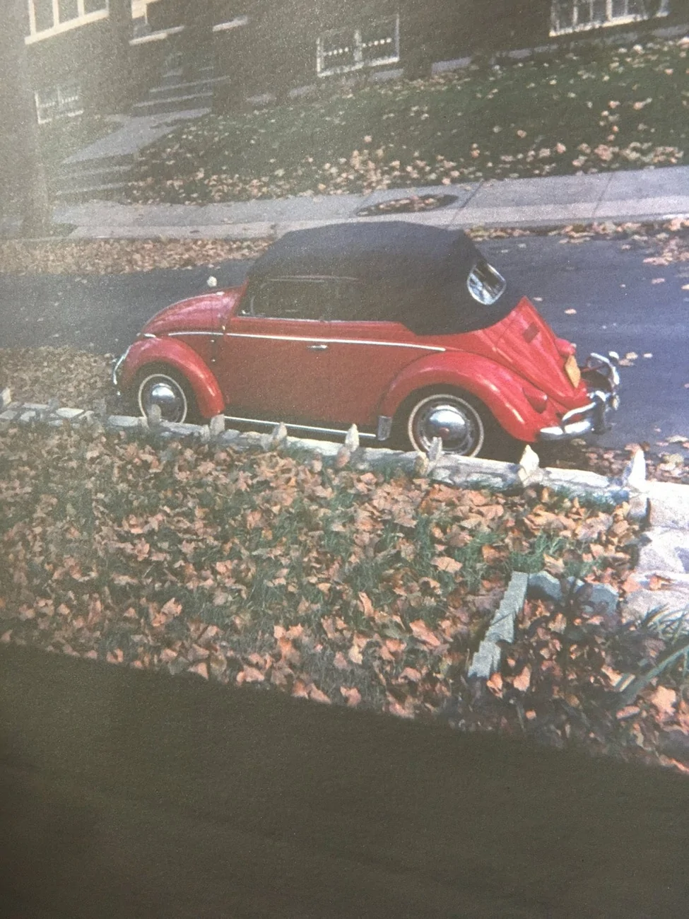 vw.webp
