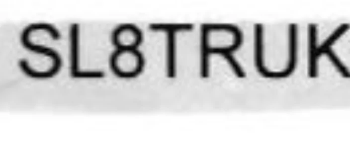 Slate Auto Pickup Truck License Plates IMG_4595