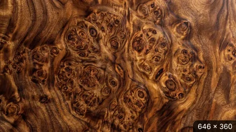 Burl_Wood-2.webp