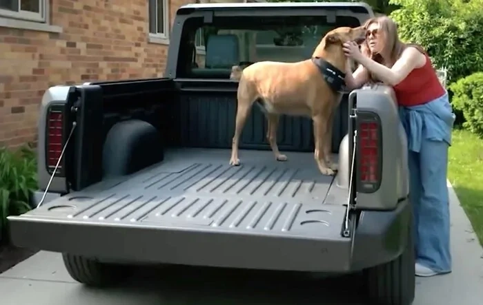 SLATE office dog approved: The goodest boy (ad commercial)