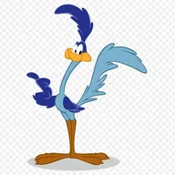BPinWI