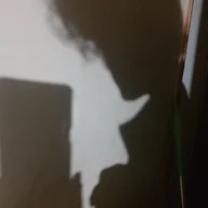 rollerbite