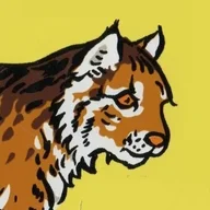 kotaKat