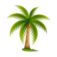 BahamaTodd