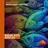 weird_fishes